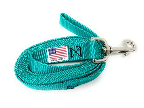 Fabri-Tech 10FT Nylon Leash 3/4 inch Teal Made in USA