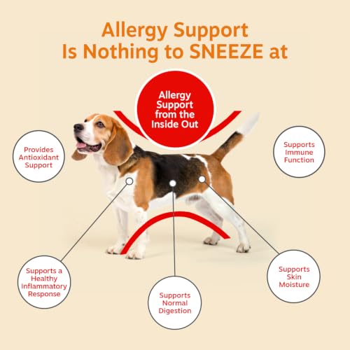 Image of Zesty Paws Hemp Dog Allergy Chews - Dog Allergy Relief, Cheese, 90 Ct