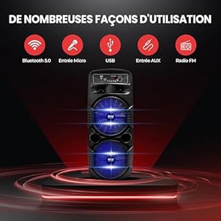 Pyle Enceinte Bluetooth, Enceinte Portable Extérieure Rechargeable de 600 W, Haut Parleur Sono avec Double Caisson de Basses, Tweeter, Entrée Microphone, Lumières de Fête, USB, Radio, Télécommande