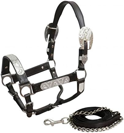 Showman YearlingSmall Horse Dark Leather Show Halter with Lead