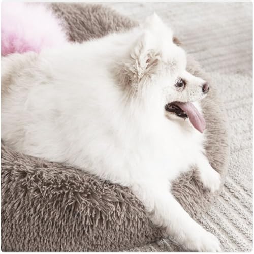 Domarex Weiches rundes Hundebett 110 cm XXL - Flauschiges Katzenbett mit hohem Rand - Shaggy Haustierkissen mit Silikonfüllung - gemütliches Anti-Rutsch - Schlafplatz für Hunde & Katzen - Beige