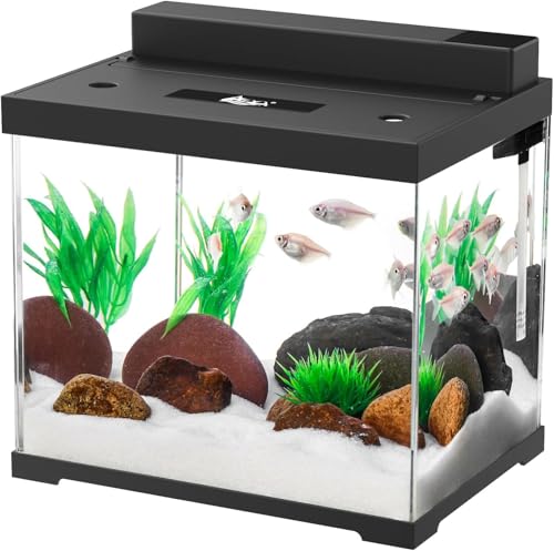 AQQA - AQQA Fish Tank, 9L Small Glass Aquarium with Double Filtration System, 4 Color LED Lighting, Water Pump