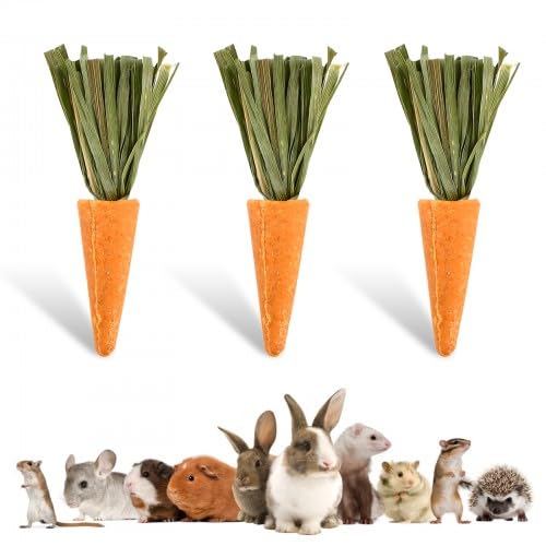 Crocchette da masticare per conigli - Biscotti all'erba alfalfa e carota per piccoli animali domestici - Snack di fieno di fleolo per conigli, porcellini d'India e criceti - Giocattoli da mas