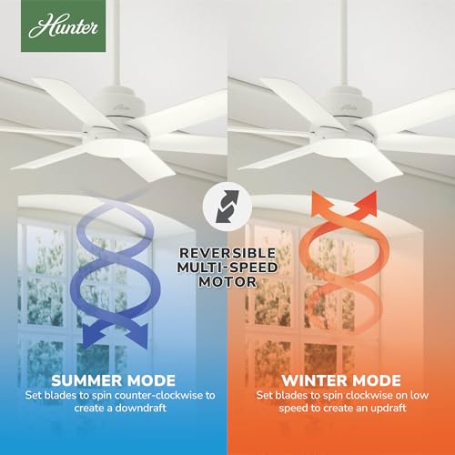 Image of Hunter Kennicott, Outdoor or Indoor, Ceiling Fan, 44 inch, Fresh White