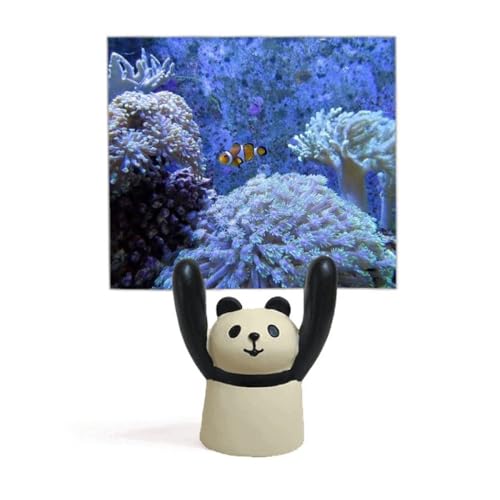 Porte-photo poisson clown pour stopper le désordre de vos papiers avec style et fantaisie