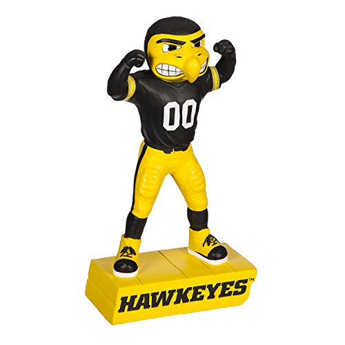 Team Sports America NCAA University of Iowa Fun Colorful Mascot