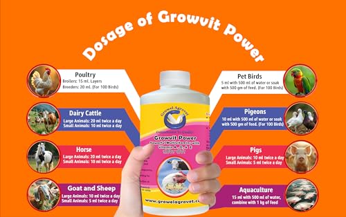 Image of Growel Agrovet Growvit Power Multivitamin Supplement for Poultry, Cattle, Goats, Sheep, Horses, Pigs, Pigeons, Pet Birds & Aquaculture | Supports Growth, Immunity, Energy & Overall Health - (1000 ml)