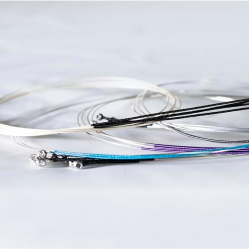 Thomastik-Infeld Dominant Pro Violin E String DP01 Carbon Steel Core, Tin Plated Wound, 4/4 size for Advanced Violinists – Powerful, Balanced, Instant Bow Response with Broad Sound Colors- Vienna Made
