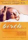 Birth Without Violence
