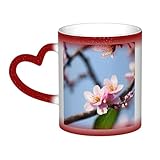 DURAGS Plum Blossom - Taza de café y té de cerámica de primera calidad que cambia de color, diseño de cielo estrellado mágico