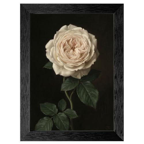 Framed Wall Art - Classic Cream English Rose Still Life