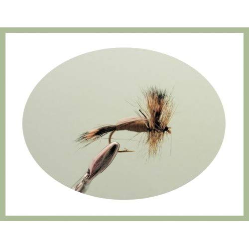 Troutflies UK Dry Flies Lot de 8 Mouches de pêche à la Truite Olive - Taille 10 - Mouches de mai pour pêche à la Mouche Cover