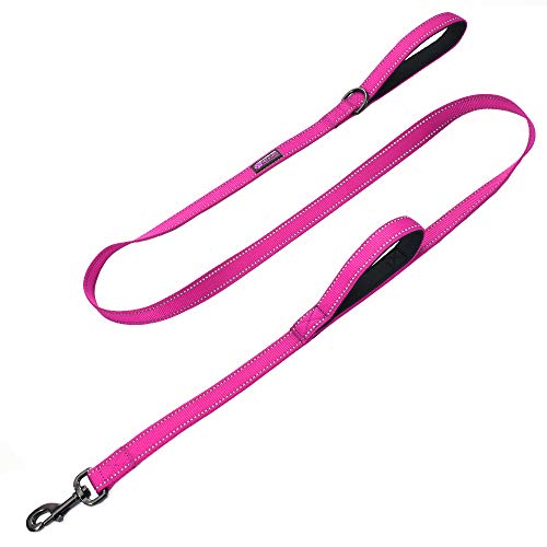 Max and Neo Double Handle Traffic Dog Leash - Reflective, Donates to Dog Rescue (Pink, 6 FT)