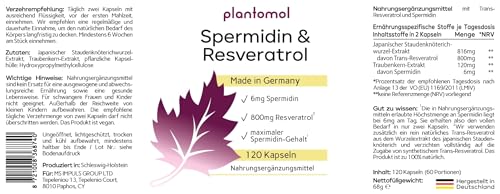 120 Spermidin Kapseln hochdosiert - Spermidin 6mg & 800mg Trans Resveratrol hochdosiert - einzigartige Kombination - 2 Monatsvorrat