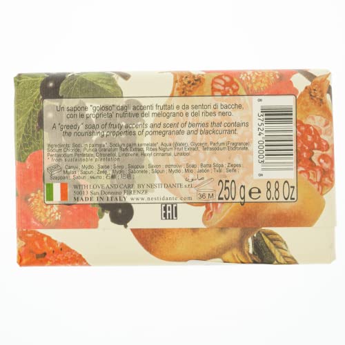 Nesti Dante Nesti Dante Il Frutteto Nourishing Soap - Pomegranate And Blackcurrant, 8.8Oz, 8.8 Ounce #TOP1