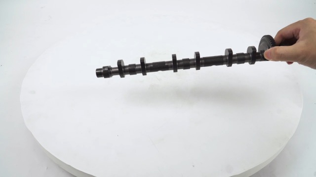 Amazon.com: WQSING Eccentric Timing Camshaft for BMW N51 N52 6