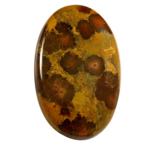 I[VWXp[ I[o J{V i` [X WFXg[ 30.6Jbg Od81-B08T7MB125