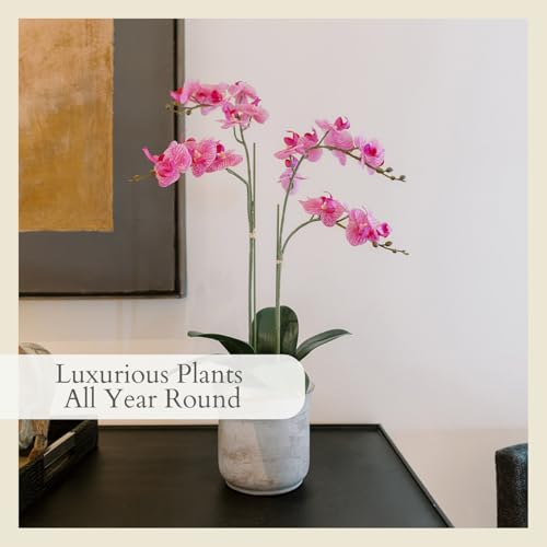 Image of CG Hunter Faux Pink Orchid Plant, Premium Artificial Indoor Flower Display Stands 24 inch, Beautiful Sculptural Blooms That Lasts Forever, Grey Planter Pot Included
