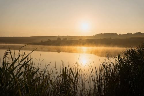 Affiche lever de soleil brumeux d'un lac d'été 110x70 poster décoratif mur