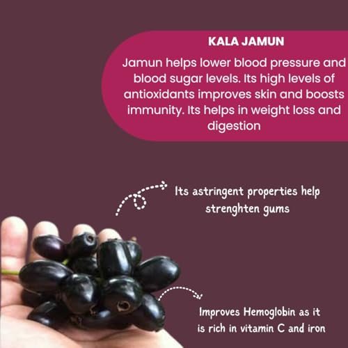 Image of Vistevia Sugar Free Kala Jamun Jam, Diabetic and Keto Friendly - Sweetened Naturally with Stevia, More Than 60% Jamun Content - Tastes Delicious - Pack of 1 (220GM)