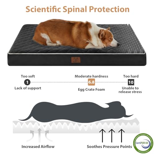 Image of WNPETHOME Orthopedic XL Dog Beds Large Sized Dog, Waterproof Extra Large Dogs Bed with Removable Washable Cover, Multi-Needle Quilting Dogs Crate Bed