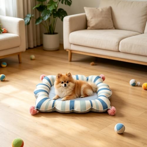 Tapis de refroidissement pour chaton dormir paisiblement dans la maison d'été