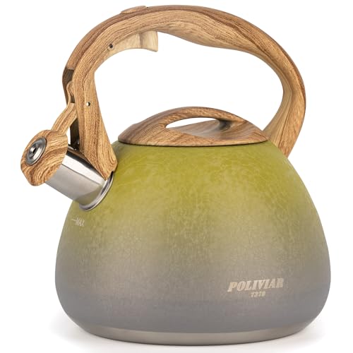 POLIVIAR 2.7 Qt Stovetop Tea Kettle with Crackle Finish