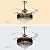 TFCFL 42" Crystal Invisible Chandelier Ceiling Fan Light - Luxury Indoor Home LED Lighting Lamp, 4 Retractable Blades Changeable Colors/Speeds Silent Motor W/Remote Control, 36W(Gold)