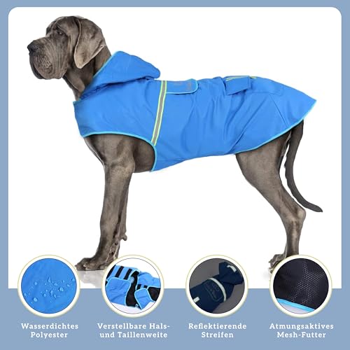 Bella & Balu Hunderegenmantel - Wasserdichter Hundemantel mit Kapuze und Reflektoren für trockene, sichere Gassigänge, den Hundespielplatz und den Urlaub mit Hund (S - Blau)