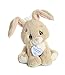 Aurora® Inspirational Precious Moments™ Floppy Bunny Stuffed Animal - Cherished Memories - Enduring Comfort - Brown 8.5 Inches