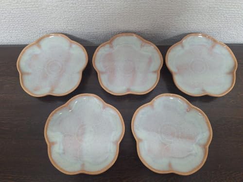  VQR Ԃт^ M 5 Zbg  ~ sN F Fڂ