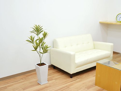 Amazon.co.jp: 人工観葉植物 ドラセナ・ソングオブインディア スクエア