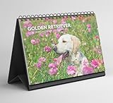 Boyce Publishing Ltd