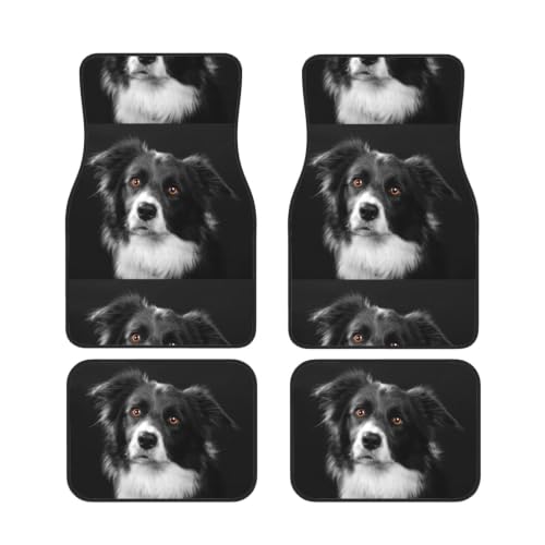 Alfombrillas para coche de Border Collie, viaja con tu mascota protegiendo el vehículo
