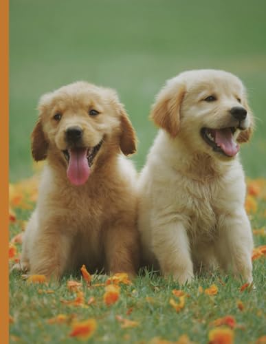 Paws & Reflections: A Dog Lover’s Notebook for Notes, Thoughts, and Inspiration