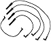 Autolite 96903 Spark Plug Wire Set