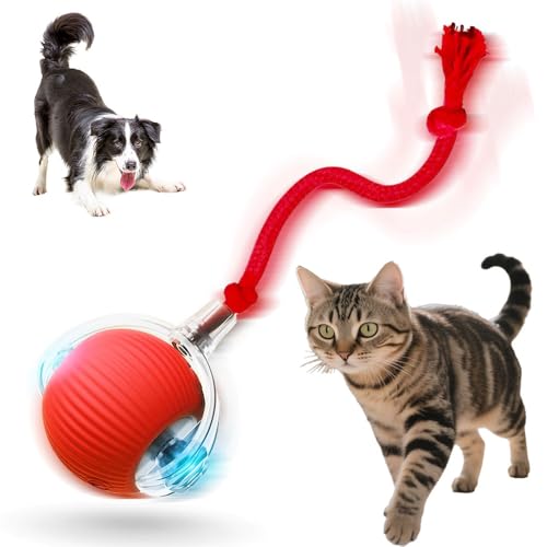 Interactive Cat Toys for Indoor Cats, 2025 New Motion Activated C...