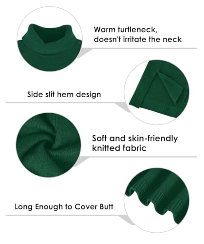 Image of TIYOMI Plus Size Sweater Tops for Women Turtleneck Warm Pullover XL-5XL