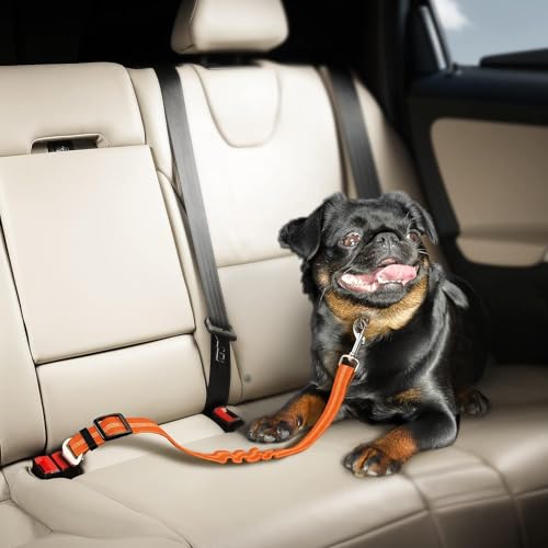 Adjustable Dog Car Harness | Seat Belt for Pets with Elastic Bungee Buffer | Essential Travel Accessory - Orange