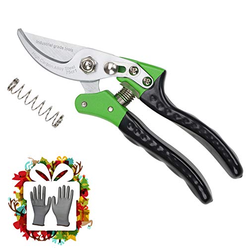 Sitajie Pruning Shears, Heavy Duty Stainless Steel Bypass Garden Pruner for Indoor Plant, Bonsai Tree, Professional Gardening Hand Scissors for Bonsai Trimming Branch Cutting with Gardening Glove