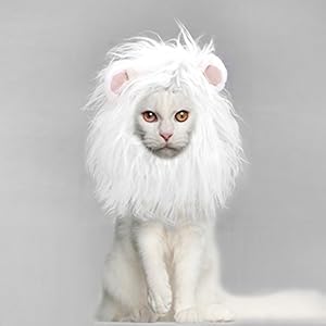 Onmygogo Peluca de Melena de león para Gatos y Perros, Divertidos Disfraces de Gato para Mascotas para Halloween, Navidad, Accesorios de Ropa Peluda para Mascotas (S, Blanco)