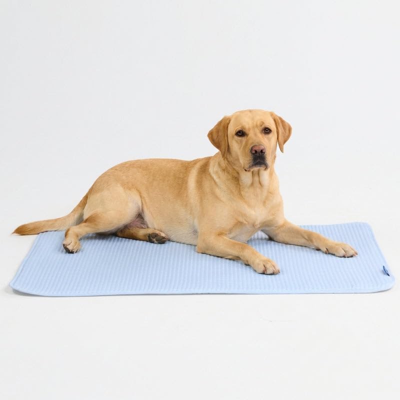 The Green Pet Shop Cooling Mat