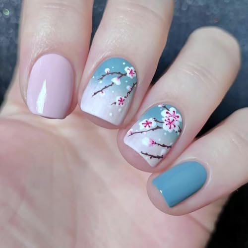 24̊ÂԂ܂ɕtVvȐlH