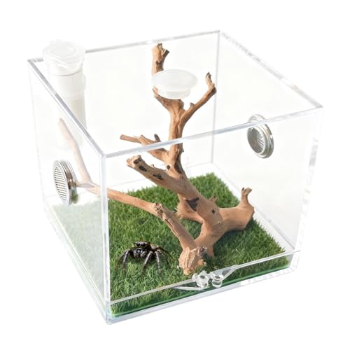 w偉B ^`P[XLbg ~jw偎P[X ANw偃eEANZT[