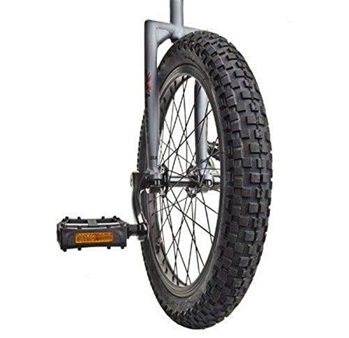 SUN BICYCLES Flat Top Extreme DX Matte Gray 2014 20 Inch