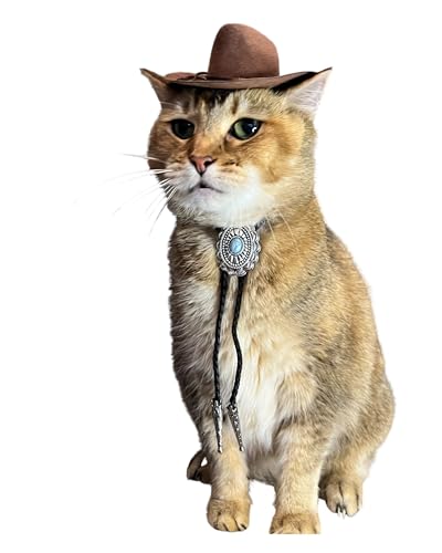 Sombrero vaquero marrón con corbata bolo para gato miniatura 2
