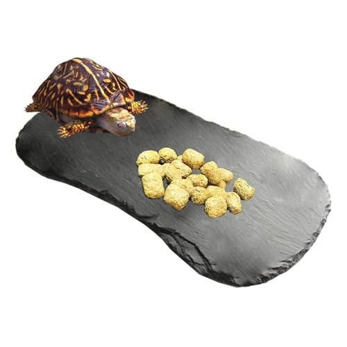 Tfwadmx Reptile Basking Platform 11x5.5 Tortoise Rock Plate Feeding Food Bowl Dish Feeding Slate Turtle Bathing Resting Platform for Lizard Gecko Bearded Dragon Chameleon Snake Frog