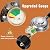2 Feet Universal Gas Grill Regulator and 4FT Propane Hose with Regulator