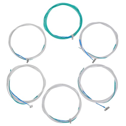 SHINYPASING 6��ⶌ� ���Ή� �i�C�����ƍ|���� �`���y�� ���y�A�N�Z�T���[