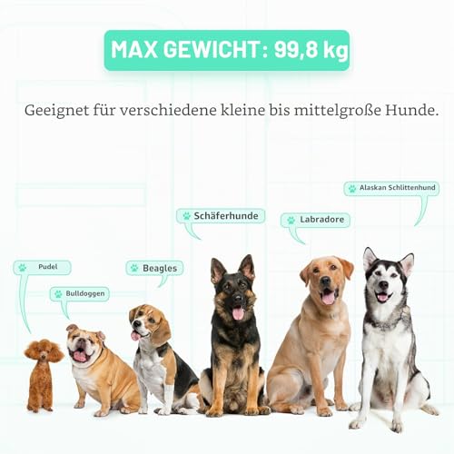 Aufblasbare große Hunde-Schwimmrampe – Schwimmen Haustiere bis zu 100 kg große Hunde – aufblasbare Treppe für Boote, Docks, mit Pumpe/Seil/Reparaturset – PVC-Anti-Rutsch-Gewebe